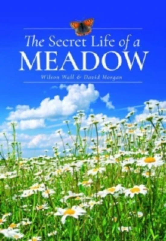 Image of The Secret Life of a Meadow Hardback