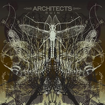 Image of Architects - Ruin CD