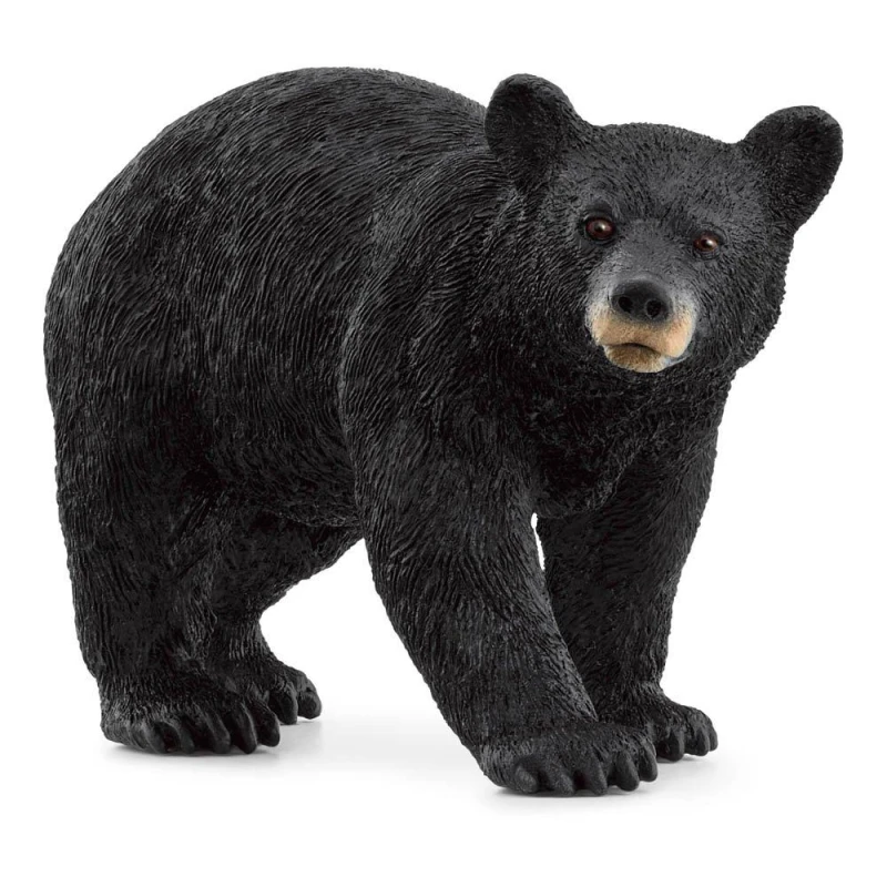 Image of Schleich American Black Bear Multi unisex