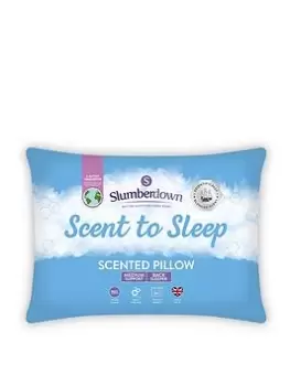 Image of Slumberdown Slumberdown Scent To Sleep Scented Pillow