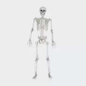 Image of Life-Size Skeleton