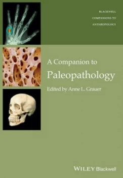 Image of A Companion to Paleopathology by Anne L. Grauer Paperback