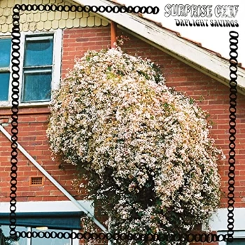 Image of Surprise Chef - Daylight Savings CD