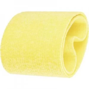 Image of PFERD P-BA 100/282 45008503 Sandpaper belt (L x W) 282mm x 100 mm 2 pc(s)