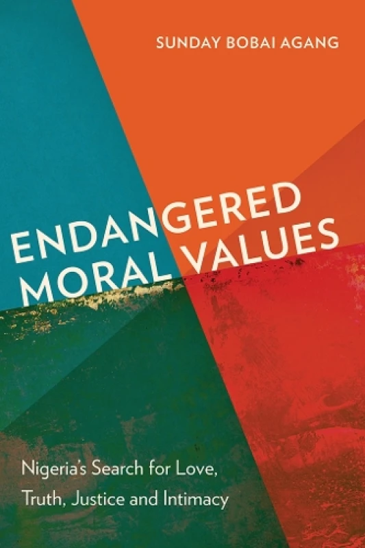 Image of Endangered Moral Values : Nigerias Search for Love, Truth, Justice and Intimacy Paperback / softback
