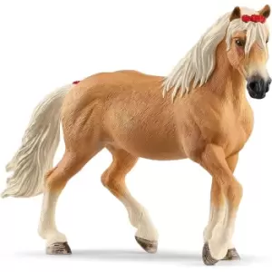 Image of Haflinger Mare