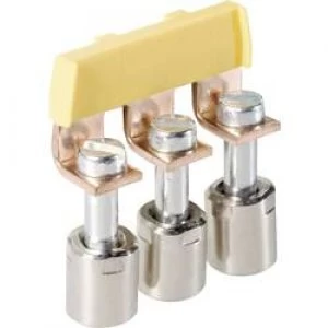 Image of NA IVB WK 4 2 Wieland Content