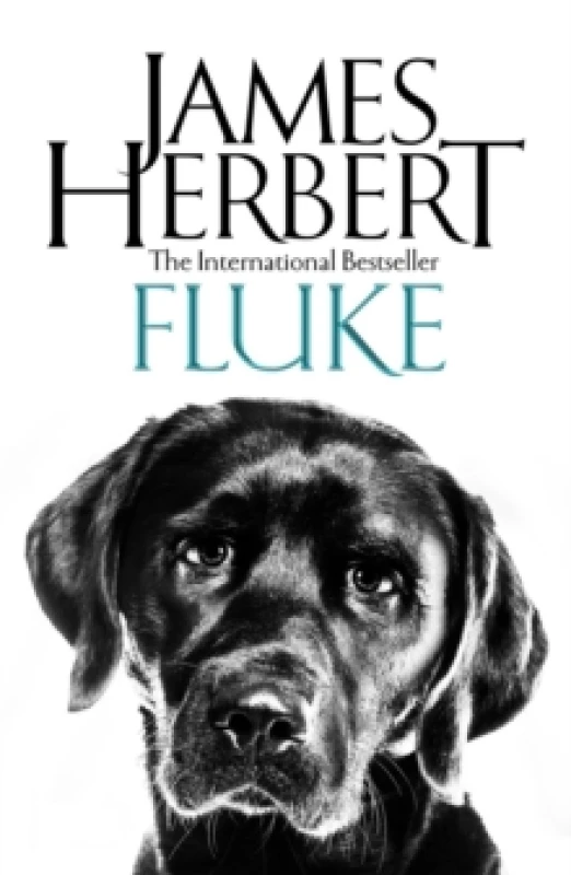 Image of Fluke Paperback / softback