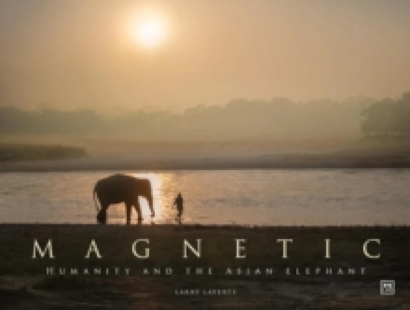 Image of Magnetic : Humanity and the Asian elephant Hardback