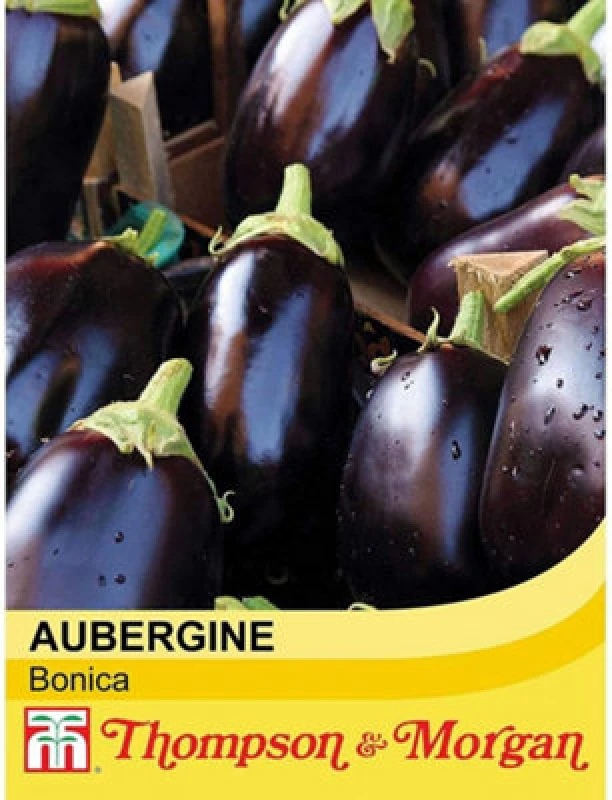 Image of Thompson & Morgan Aubergine Bonica F1 Hybrid 1 Seed Packet (13 Seeds)