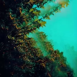 Image of Polymoon - Caterpillars Of Creation Vinyl