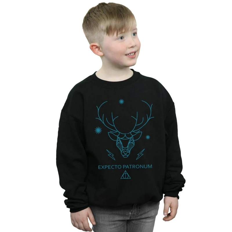 Image of Harry Potter Expecto Patronum Sweatshirt Black male