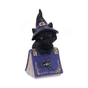 Image of Pocus Cat and Spellbook Figurine
