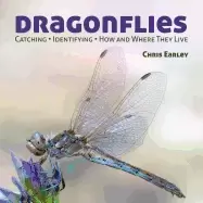 Image of dragonflies catching identifying how and where they live