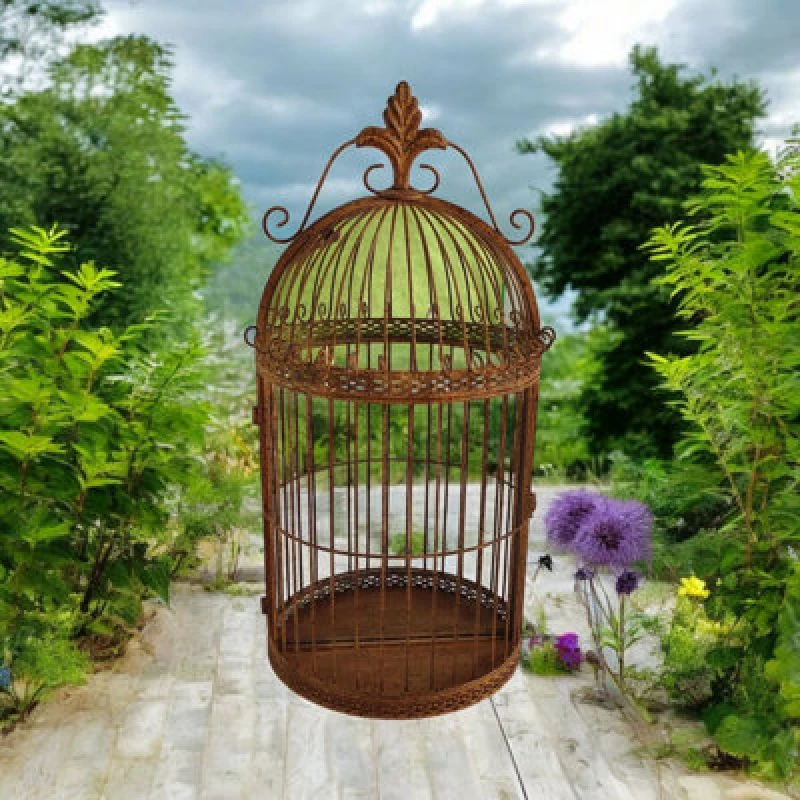 Image of 63Cm Bird Cage Rusty Wall Mirror