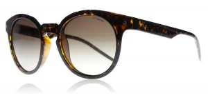 Image of Polaroid Palladium 2036S Sunglasses Dark Havana 086 Polariserade 50mm