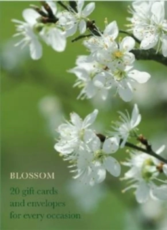 Image of Blossom Large Card Box Cards
