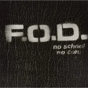 Image of Flag Of Democracy - No School No Core Vinyl