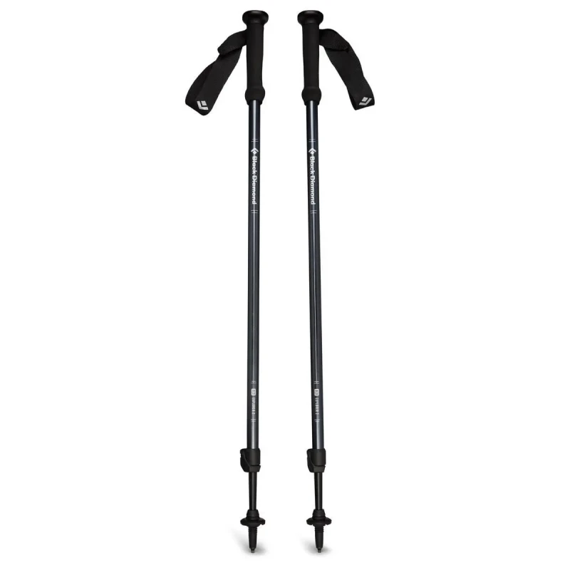 Image of Trekking poles Black Diamond Explorer 2 Noir Unisex TU