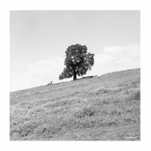 Image of Cornered by Blank Gloss Vinyl Album