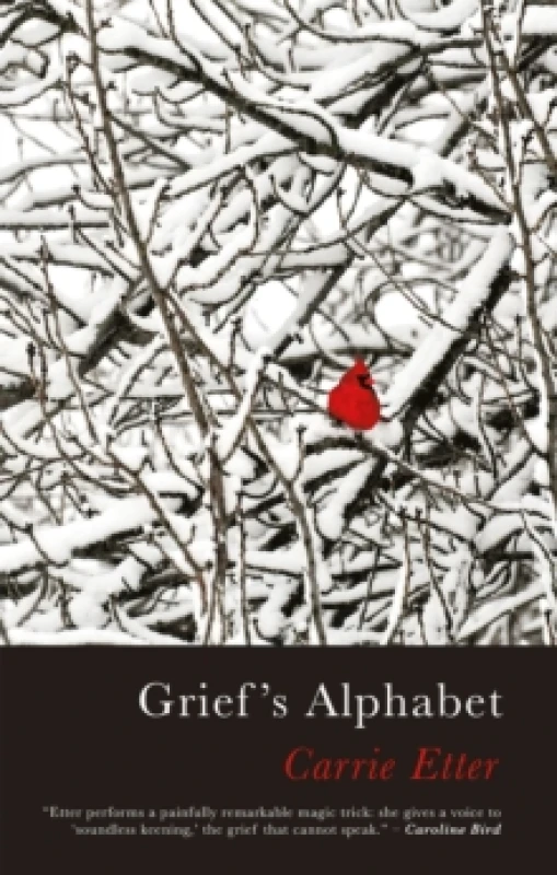 Image of Griefs Alphabet Paperback / softback