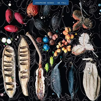 Image of Josephine Wiggs - We Fall CD