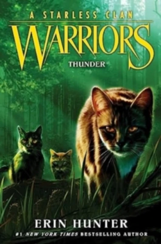 Image of Thunder - Erin Hunter - Hardback - Used