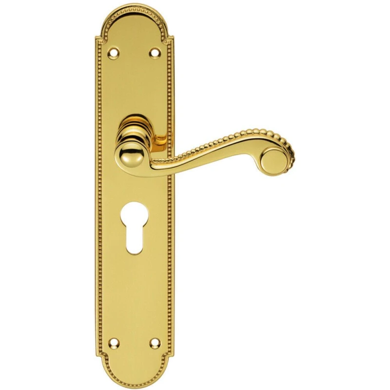 Image of Loops PAIR Beaded Pattern Handle on Euro Lock Backplate 249 x 50mm Polished Brass Metallics