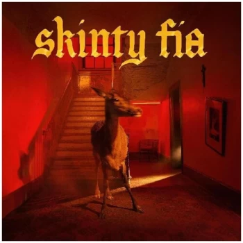 Image of Fontaines D.C. - Skinty Fia (Deluxe Edition) 2xLP