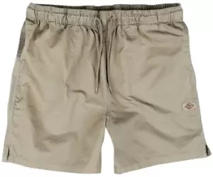 Image of Dickies Pelican Rapids Shorts sand