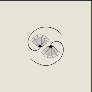 Image of Godspeed You Black Emperor - G_d's Pee At State's End Vinyl