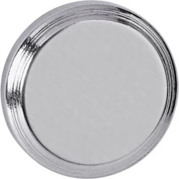 Image of Maul Neodym magnet (Ø x H) 16mm x 7mm Disc Silver 6170796