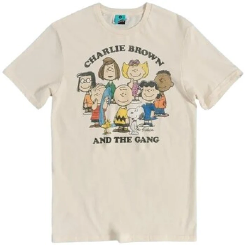 Image of Peanuts Mens Charlie & The Gang T-Shirt in Beige Size: Small Beige Male S