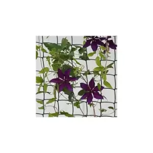 Image of Climbing Plant & Fencing Garden Mesh Outdoor Indoor Fencing Plant Support Plastic Mesh Netting for Flowers Plants Protection Allotment Cover Pest