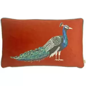 Image of Peacock Velvet Piped Edge Cushion Coverr, Sunset, 30 x 50 Cm - Evans Lichfield