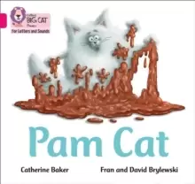 Image of Pam Cat : Band 01b/Pink B