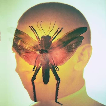 Image of Maelstrom - Lp-Maelstrom-Rhizome (Lp Vinyl