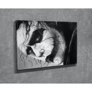 Image of DC225 Multicolor Decorative Canvas Painting