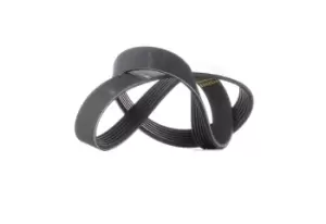 Image of Bosch V-ribbed belt 1 987 946 020 Serpentine belt,Auxiliary belt BMW,FIAT,HONDA,1 Schragheck (F20),3 Touring (F31),3 Limousine (F30, F80)