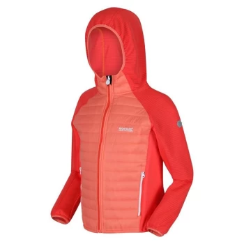 Image of Regatta Kielder Hybrid V Insulated Jacket - FusCrl/NeoPc