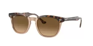 Image of Ray-Ban Sunglasses RB2298 Hawkeye Polarized 1292M2