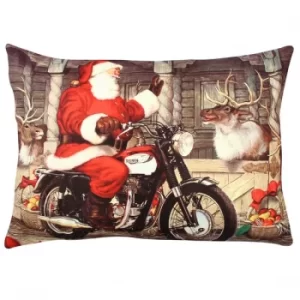 Image of A50914 Multicolor Cushion