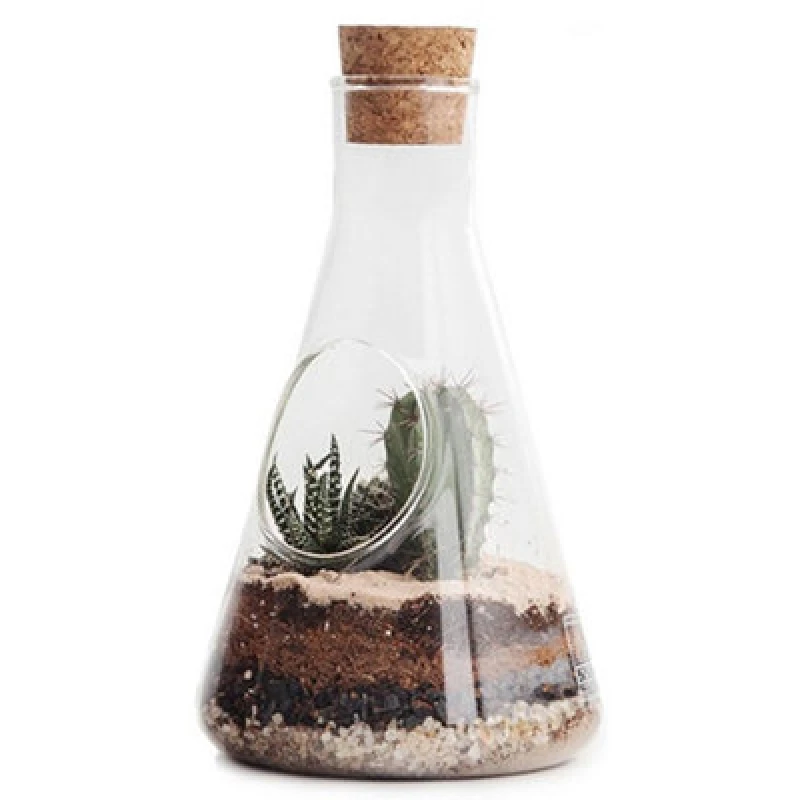 Image of Suck UK Chemistry Terrarium Kit 12 x 22.5cm Multi unisex