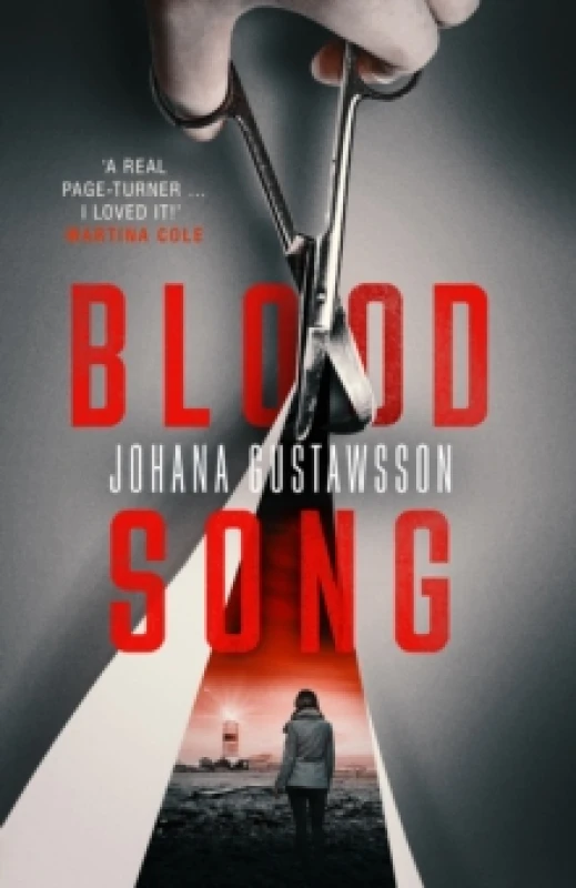 Image of Blood Song Paperback / softback