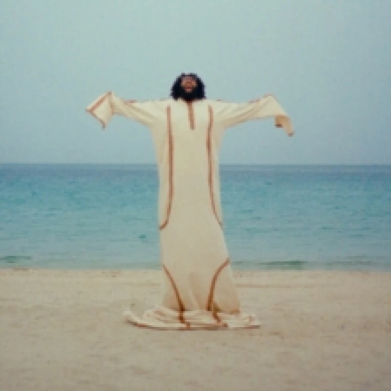 Image of Anyway I Can Vinyl