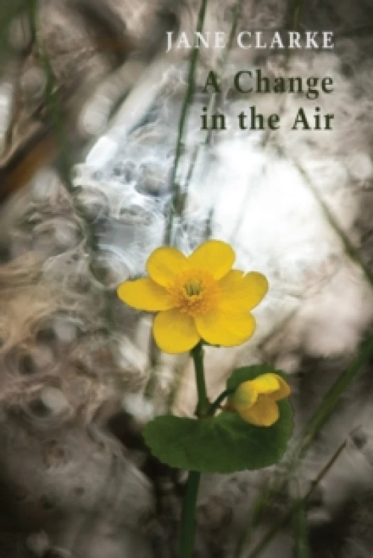 Image of A Change in the Air Paperback / softback