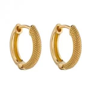Image of Yellow Gold Plated Micro Bead Textured Hoop Earrings E5998