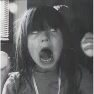 Image of Josephine Foster - Little Life Vinyl