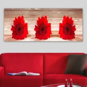 Image of YTY649730_50120 Multicolor Decorative Canvas Painting