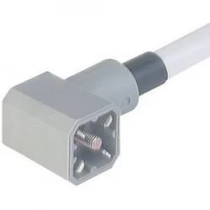 Image of Hirschmann 931 783 001 G 30 KW M Cable Connector With Moulded Lead Grey Number of pins3 PE